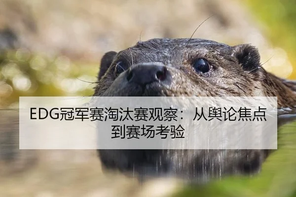 EDG冠军赛淘汰赛观察：从舆论焦点到赛场考验
